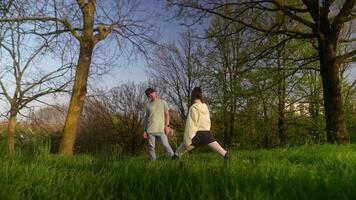 A Joyful Dance in Nature During the Beautiful and Enchanting Golden Hour as the Day Comes to a Close video