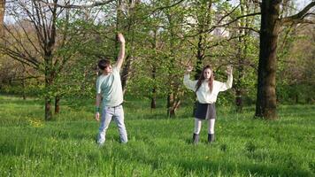 The Dynamic Duo is Joyfully Enjoying Movement Within the Beautiful Surroundings of Nature video