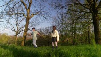 A Joyful and Playful Interaction in Nature A Captivating and Uplifting Outdoor Dance Sequence video
