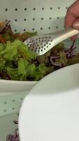 prendre différent des légumes sur une assiette dans le buffet concombres tomates salade video