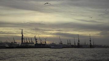 View of Hamburg Port at golden hour, with bustling maritime activity. Container ships, cranes, and barge transport dominate scene along Elbe River, reflecting global trade and port infrastructure. video