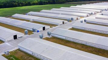 Modern agriculture on field. Rows of white farm houses for livestock. Large territory of a farm with many barns and warehouses. Top view. video