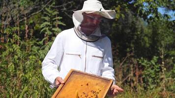 Beekeeper in protective suit outdoors. Man apiculturist working on apiary in summer day. Man in white uniform and hat near beehives on green nature background. video