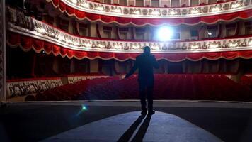 Dark silhouette of a host in front of empty auditorium. Back view of a speaker performing on stage on the background of beautiful hall without people. Quarantine. video