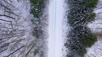 Snowy road in woodland. Amazing view on a way in winter forest in snowy weather. Top view. Camera rising. video