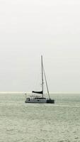 uma médio tiro captura uma lustroso, branco Navegando catamarã com Está velas abaixo, suavemente ancorado em uma calma extensão do aberto água debaixo uma nebuloso céu. a barco características dois cascos e uma solteiro mastro. a sereno video