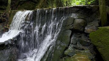 A serene, medium shot of a small waterfall gently flowing over moss-covered rocks and stones into a calm, clear pool of water. The surrounding environment features lush green moss and foliage on the video