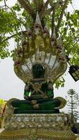 ein Mittel Schuss von ein niedrig Winkel erfasst ein auffällig Grün Smaragd Buddha Statue sitzend im ein meditativ Pose, geschützt durch das mehrere golden Hauben von nagas , Schlange Gottheiten. das Statue ist aufwendig video