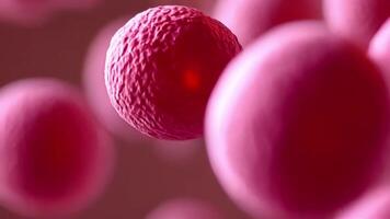 Necrophilia, Neutrophil interaction in bloodstream 3D view, great for educational videos or health apps.