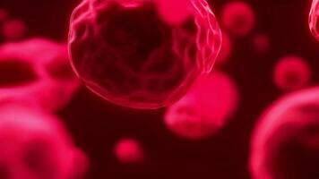 Microscopic 3D model of neutrophil, perfect for e-learning and biology animation. video