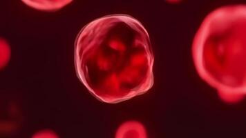 Neutrophil cell rotating in 3D space, ideal for medical infographics or presentations. video
