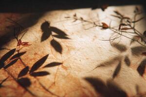 Shadow of leaves cast across vintage textured paper in soft warm sunlight. Great for eco design, creative nature projects, organic branding, or serene visual backgrounds. photo