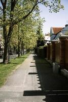 Quiet suburban street with lush green trees and shadows of a red-brick fence on the sidewalk. Great for concepts of spring, calm living, architecture, and peaceful neighborhoods. photo
