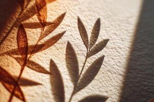 A botanical shadow composition showing soft leaf silhouettes on warm handmade textured paper. Ideal for natural branding, eco design, minimal art backgrounds, or tranquil visual storytelling. photo