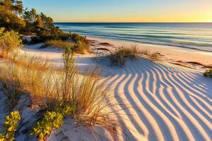 A breathtaking sunset on the beach of Alghero, Sardinia, with golden light casting over the sand dunes and tranquil sea, creating a perfect evening atmosphere photo