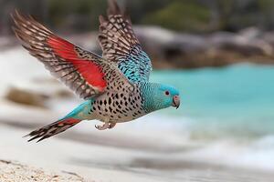 A vibrant, colorful parrot soaring through the sky above a sandy beach with the sparkling water in the background, capturing the beauty of nature in motion photo