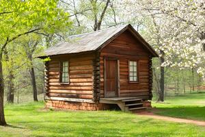 A charming wooden cottage nestled in a lush spring garden, surrounded by vibrant flowers and greenery, creating a peaceful park setting photo