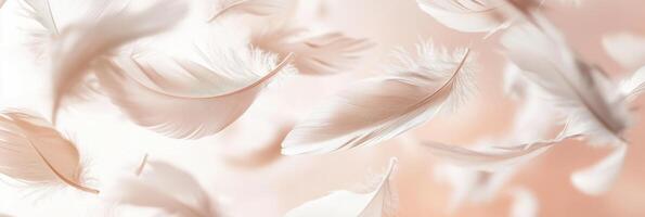 White feathers floating on soft peach background for delicate nature concept photo