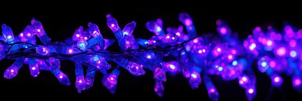 Vibrant string of purple and blue led lights against a black background photo