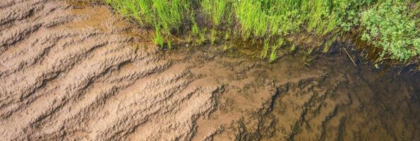 Aerial view of rippling mud patterns and vibrant grass at a waterside bank photo