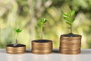 Plant seeds growing from coin stacks symbolizing financial growth and investment photo