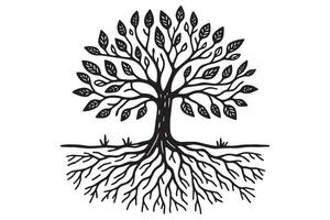 simple Hand drawn tree with roots flat illustration vector