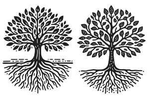 two trees with roots and leaves vector