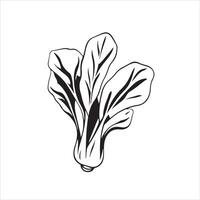 A black and white drawing of a leaf of lettuce vector