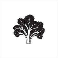 Black and white illustration of a leafy vegetable vector