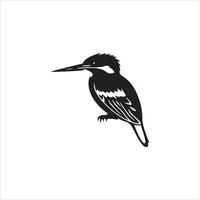 A black and white bird on a white background vector