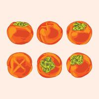 Hand-Drawn Persimmon Set - Colorful Fruit Illustration Collection vector