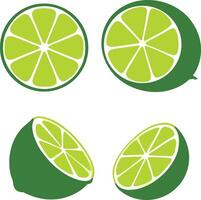 Sliced Lime Fruit Graphic Design Illustration In Format On White Background vector