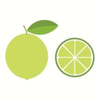 Illustration Of Whole And Sliced Lime With Green Leaf On White Background vector