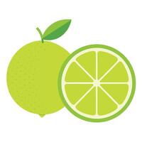 Illustration Of Fresh Lime And A Slice On White Background vector
