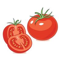 Fresh Red Tomato Illustration With Slice Isolated On White Background vector