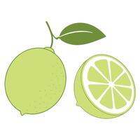 Lime Fruit Illustration Of Whole And Half With Leaf On White Background vector