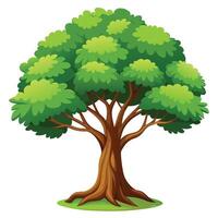 Cartoon Illustration Of A Lush Green Tree With Brown Trunk And Branches vector