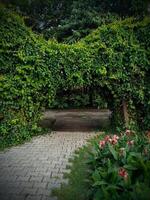 Pathway through the spring garden, a charming walkway surrounded by flowers and lush greenery photo