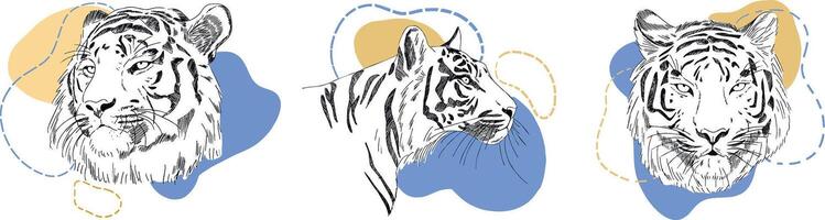 tiger illustrations sketches and abstract figures vector