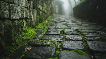 Ancient Cobblestone Pathway with Vibrant Green Moss Growing Between Stones and Misty Atmospheric Environment photo