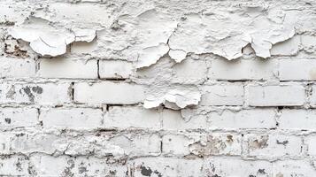 Close-Up of Distressed Brick Wall with Deteriorating White Paint and Visible Cracks from Time and Weather photo