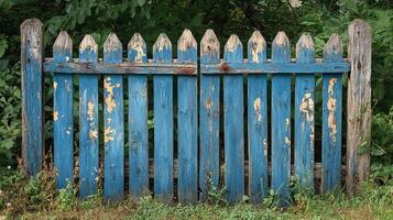 Weathered Vintage Wooden Fence with Distressed Blue Paint and Rustic Texture Surrounded by Wild Vegetation photo