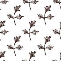 Seamless herbal pattern with parsley leaves in vintage hand drawn etching style vector