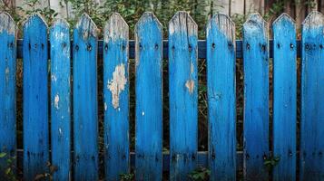 Aged Picket Fence with Peeling Blue Paint and Natural Decay in a Lush Green Rural Environment photo