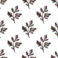 Retro sketch style seamless pattern of parsley leaves, hand drawn illustration vector