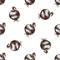 Seamless pattern with onion bulbs in vintage hand drawn sketch style, brown ink vector