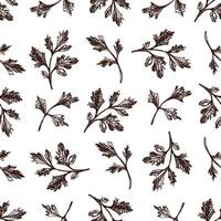 Hand drawn parsley leaves seamless pattern in vintage botanical sketch style vector