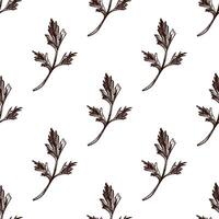 Seamless pattern of parsley leaves in vintage etching sketch style, hand drawn vector