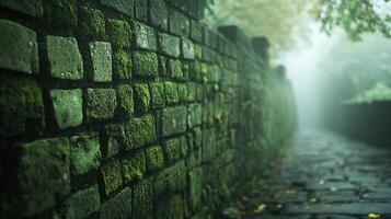 Ancient Stone Pathway with Moss-Covered Wall in Mystical Foggy Forest Environment with Ethereal Natural Light photo