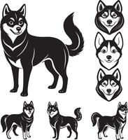Alaskan Klee Kai Dog 7 Bundel Set vector